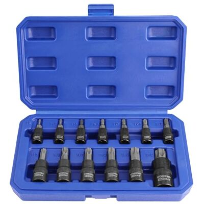 WORKPRO 13-teiliges Torx-Bit-Steckschlüsselsatz, T8-T60 Bit Set, Premium S2 Stahl Bits und Cr-V-Nüsse, mit Aufbewahrungskoffer, 1/4", 3/8" und 1/2" Antrieb WORKPRO 13-teiliges Torx-Bit-Steckschlüsselsatz, T8-T60 Bit Set, Premium S2 Stahl Bits und Cr-V-Nüsse, mit Aufbewahrungskoffer, 1/4", 3/8" und 1/2" Antrieb