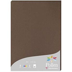 Clairefontaine 24292C Packung mit 25 Karten Pollen 210g, DIN A4, 21 x 29,7cm, Braun Clairefontaine 24292C Packung mit 25 Karten Pollen 210g, DIN A4, 21 x 29,7cm, Braun
