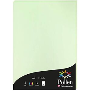 Clairefontaine 4205C Packung mit 50 Karten Pollen 120g, DIN A4, 21 x 29,7cm, Grün Clairefontaine 4205C Packung mit 50 Karten Pollen 120g, DIN A4, 21 x 29,7cm, Grün