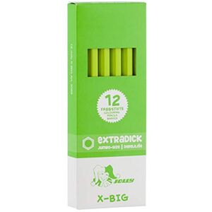JOLLY Graphit X-Big Starter Set – 12 Extra Dicke Stifte, Extrem Belastbar, 2B Weiche Mine, Bruchfest, Ungiftig, Ideal für Kleinkinder & Malanfänger ab 3 Jahren JOLLY Graphit X-Big Starter Set – 12 Extra Dicke Stifte, Extrem Belastbar, 2B Weiche Mine, Bruchfest, Ungiftig, Ideal für Kleinkinder & Malanfänger ab 3 Jahren