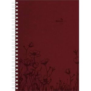 Alpha Wochenplaner Nature Line Flower Ringbuch 2026 – Taschenkalender 15×21 cm mit 128 Seiten & umweltfreundlichem Strukturpapier, Weekly-Planer mit Monatsübersichten & Notizbereichen Alpha Wochenplaner Nature Line Flower Ringbuch 2026 – Taschenkalender 15×21 cm mit 128 Seiten & umweltfreundlichem Strukturpapier, Weekly-Planer mit Monatsübersichten & Notizbereichen