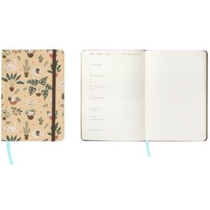 Idena 12069 Taschenkalender 2026 im Format 9 x 14 cm, 1 Woche auf 1 Seite, Terminplaner in Hellbraun mit Katzenmotiv, Gummiband, Innentasche und Leseband Idena 12069 Taschenkalender 2026 im Format 9 x 14 cm, 1 Woche auf 1 Seite, Terminplaner in Hellbraun mit Katzenmotiv, Gummiband, Innentasche und Leseband