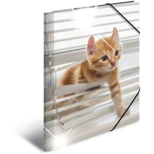 Herma Sammelmappe A3 Katzen, Kinder Eckspanner-Mappe aus Kunststoff mit Tier Motiv, Hochglanz-Optik, Gummizug, Innenklappen und Innendruck für Jungen und Mädchen Herma Sammelmappe A3 Katzen, Kinder Eckspanner-Mappe aus Kunststoff mit Tier Motiv, Hochglanz-Optik, Gummizug, Innenklappen und Innendruck für Jungen und Mädchen