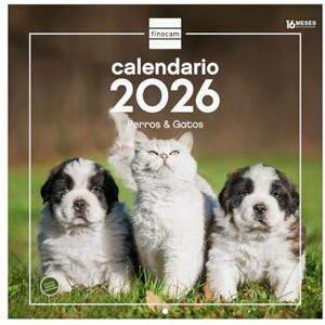 Finocam Wandkalender 2026, 30 x 30 cm, Monatsansicht Januar Dezember 2026 + Sep. Dezember 2025 (4 Monate), Kalender 2026, Bilder Hunde und Katzen Spanisch Finocam Wandkalender 2026, 30 x 30 cm, Monatsansicht Januar Dezember 2026 + Sep. Dezember 2025 (4 Monate), Kalender 2026, Bilder Hunde und Katzen Spanisch
