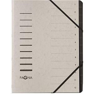 Pagna 4005921 A4 pro 12 Teil Datei – Licht Grau (5 Stück) Pagna 4005921 A4 pro 12 Teil Datei – Licht Grau (5 Stück)