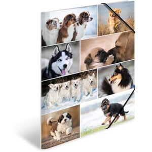 Herma Sammelmappen A3 Hunde Set, 3 Stück, Kinder Eckspanner-Mappen aus Pappe mit Tier Motiv, Gummizug, Innenklappen und Innendruck für Jungen und Mädchen Herma Sammelmappen A3 Hunde Set, 3 Stück, Kinder Eckspanner-Mappen aus Pappe mit Tier Motiv, Gummizug, Innenklappen und Innendruck für Jungen und Mädchen