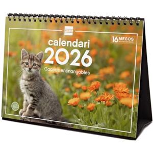 Finocam Tischkalender 2026 Monatsansicht Januar Dezember 2026 + Sep. Dezember 2025 (4 Monate) reduziert Kalender 2026 Katzenbilder Katalanisch Finocam Tischkalender 2026 Monatsansicht Januar Dezember 2026 + Sep. Dezember 2025 (4 Monate) reduziert Kalender 2026 Katzenbilder Katalanisch