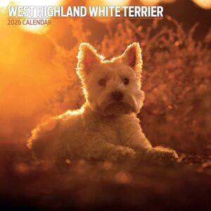 Magnet & Steel West Highland White 2026 Traditioneller Kalender Magnet & Steel West Highland White 2026 Traditioneller Kalender