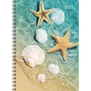Alpha Ladytimer Ringbuch Beach 2025, 15x21cm, Kalender mit 128 Seiten, Kalender mit einem Adressteil, Übersichten und internationalem Kalendarium, Wochenübersicht auf 2 Seiten Alpha Ladytimer Ringbuch Beach 2025, 15x21cm, Kalender mit 128 Seiten, Kalender mit einem Adressteil, Übersichten und internationalem Kalendarium, Wochenübersicht auf 2 Seiten