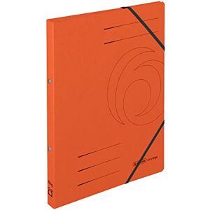 Herlitz Ringhefter A4 Quality orange, 2-Ring-Mechanik, 25 mm Rückenbreite, 5 Stück Herlitz Ringhefter A4 Quality orange, 2-Ring-Mechanik, 25 mm Rückenbreite, 5 Stück