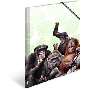 Herma Sammelmappe A3 Affe, Kinder Eckspanner-Mappe aus Kunststoff mit Tier Motiv, Gummizug, Innenklappen und Innendruck für Jungen und Mädchen Herma Sammelmappe A3 Affe, Kinder Eckspanner-Mappe aus Kunststoff mit Tier Motiv, Gummizug, Innenklappen und Innendruck für Jungen und Mädchen