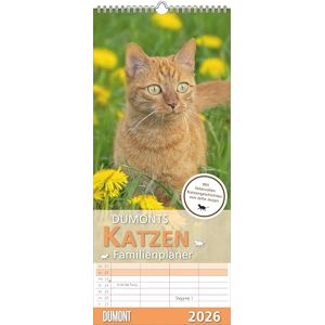 DUMONT S Katzen Kalender 2026 – Familienplaner 20x45 cm – mit liebevollen Katzenmotiven & Texten von Jette Jordan, 4 Spalten für die ganze Familie DUMONT S Katzen Kalender 2026 – Familienplaner 20x45 cm – mit liebevollen Katzenmotiven & Texten von Jette Jordan, 4 Spalten für die ganze Familie