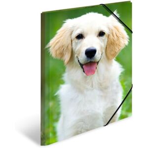 Herma Sammelmappen A3 Hunde Set, 3 Stück, Kinder Eckspanner-Mappen aus Kunststoff mit Tier Motiv, Gummizug, Innenklappen und Innendruck für Jungen und Mädchen Herma Sammelmappen A3 Hunde Set, 3 Stück, Kinder Eckspanner-Mappen aus Kunststoff mit Tier Motiv, Gummizug, Innenklappen und Innendruck für Jungen und Mädchen