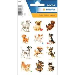 Herma Hunde Aufkleber, Tier Sticker für Kinder & Kleinkinder, Kinderaufkleber mit Hunde Motiv für Stickeralbum Scrapbook Fotoalbum Geschenk Geburtstag Dekoration Briefe Basteln Herma Hunde Aufkleber, Tier Sticker für Kinder & Kleinkinder, Kinderaufkleber mit Hunde Motiv für Stickeralbum Scrapbook Fotoalbum Geschenk Geburtstag Dekoration Briefe Basteln