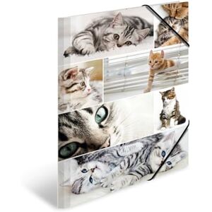 Herma Sammelmappe A3 Katzen, Kinder Eckspanner-Mappe aus Pappe mit Tier Motiv, Gummizug, Innenklappen und Innendruck für Jungen und Mädchen Herma Sammelmappe A3 Katzen, Kinder Eckspanner-Mappe aus Pappe mit Tier Motiv, Gummizug, Innenklappen und Innendruck für Jungen und Mädchen