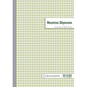 Exacompta 13500E Manifold"Recettes et DÈpenses", 297 x 210 mm VE 1 Exacompta 13500E Manifold"Recettes et DÈpenses", 297 x 210 mm VE 1