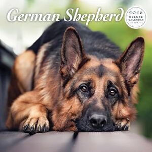 Magnet & Steel Deutscher Schäferhund Deluxe Kalender 2026 Magnet & Steel Deutscher Schäferhund Deluxe Kalender 2026