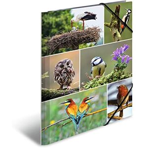 Herma Sammelmappen A4 Vögel Set, 3 Stück, Kinder Eckspanner-Mappen aus Pappe mit Tier Motiv, Gummizug, Innenklappen und Innendruck für Jungen und Mädchen Herma Sammelmappen A4 Vögel Set, 3 Stück, Kinder Eckspanner-Mappen aus Pappe mit Tier Motiv, Gummizug, Innenklappen und Innendruck für Jungen und Mädchen
