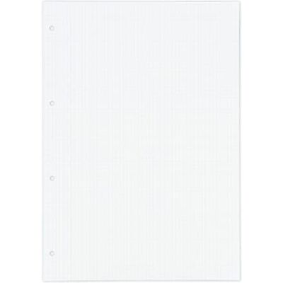 Oxford , A4 karierte Blätter, perforiert, 250 Blatt, kariert 4 x 4, Ersatzordner Oxford , A4 karierte Blätter, perforiert, 250 Blatt, kariert 4 x 4, Ersatzordner