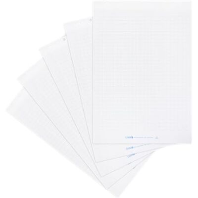 LANDRÉ Flipchart Papier, kariert, 20 Blatt je Block, 6 fach Lochung, 5 Stück LANDRÉ Flipchart Papier, kariert, 20 Blatt je Block, 6 fach Lochung, 5 Stück