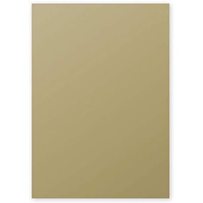 Clairefontaine 4200C Packung mit 50 Blatt Pollen, DIN A4, 210 x 297 mm, 120g, gold Clairefontaine 4200C Packung mit 50 Blatt Pollen, DIN A4, 210 x 297 mm, 120g, gold
