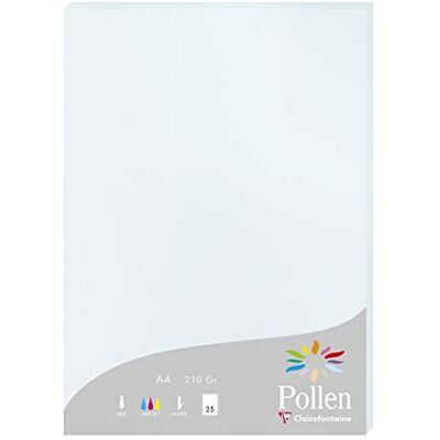 Clairefontaine 24201C Packung mit 25 Karten Pollen 210g, DIN A4, 21 x 29,7cm, Blau Clairefontaine 24201C Packung mit 25 Karten Pollen 210g, DIN A4, 21 x 29,7cm, Blau