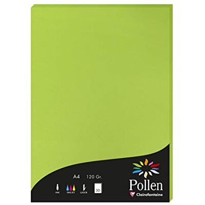 Clairefontaine 4215C Packung mit 50 Karten Pollen 120g, DIN A4, 21 x 29,7cm, Minze Clairefontaine 4215C Packung mit 50 Karten Pollen 120g, DIN A4, 21 x 29,7cm, Minze