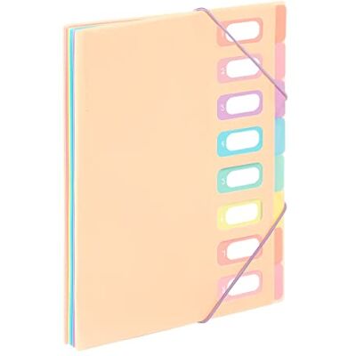 Viquel A4 Dokumenten-Organizer mit 8 Fächern, Regenbogen-Pastell-Beige Viquel A4 Dokumenten-Organizer mit 8 Fächern, Regenbogen-Pastell-Beige