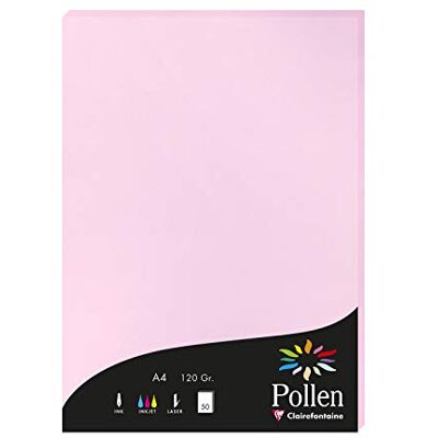 Clairefontaine 4213C Packung mit 50 Karten Pollen 120g, DIN A4, 21 x 29,7cm, Bonbonrosa Clairefontaine 4213C Packung mit 50 Karten Pollen 120g, DIN A4, 21 x 29,7cm, Bonbonrosa