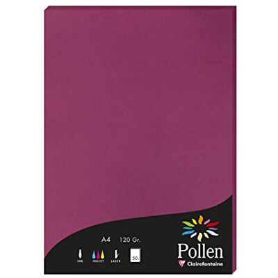 Clairefontaine 4206C Packung mit 50 Karten Pollen 120g, DIN A4, 21 x 29,7cm, Himbeer Clairefontaine 4206C Packung mit 50 Karten Pollen 120g, DIN A4, 21 x 29,7cm, Himbeer