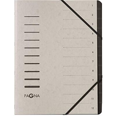 Pagna 4005921 A4 pro 12 Teil Datei – Licht Grau (5 Stück) Pagna 4005921 A4 pro 12 Teil Datei – Licht Grau (5 Stück)