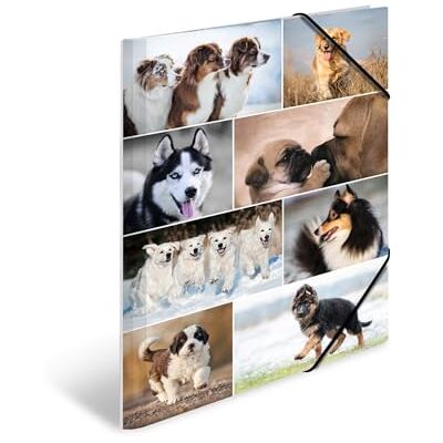 Herma Sammelmappe A3 Hunde, Kinder Eckspanner-Mappe aus Pappe mit Tier Motiv, Gummizug, Innenklappen und Innendruck für Jungen und Mädchen Herma Sammelmappe A3 Hunde, Kinder Eckspanner-Mappe aus Pappe mit Tier Motiv, Gummizug, Innenklappen und Innendruck für Jungen und Mädchen