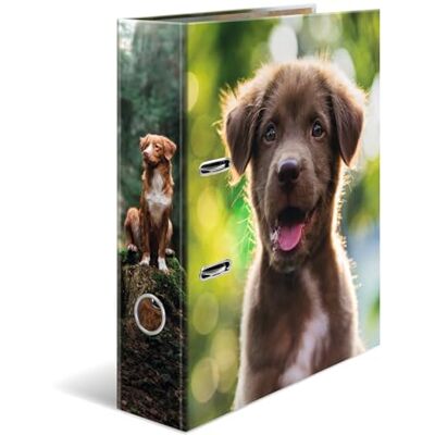 Herma Ordner A4 Hund, 5 Stück, 7 cm breit, Kinder Ringordner mit Tier Motiv, bunter Aktenordner mit Innendruck für Jungen und Mädchen Herma Ordner A4 Hund, 5 Stück, 7 cm breit, Kinder Ringordner mit Tier Motiv, bunter Aktenordner mit Innendruck für Jungen und Mädchen