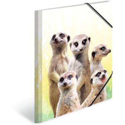 Herma Sammelmappen A4 Erdmännchen Set, 3 Stück, Kinder Eckspanner-Mappen aus Kunststoff mit Tier Motiv, Gummizug, Innenklappen und Innendruck für Jungen und Mädchen Herma Sammelmappen A4 Erdmännchen Set, 3 Stück, Kinder Eckspanner-Mappen aus Kunststoff mit Tier Motiv, Gummizug, Innenklappen und Innendruck für Jungen und Mädchen