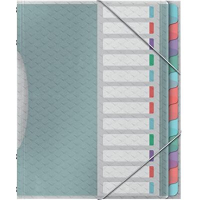 Esselte A4-Projektordner mit 12 Taben, Ordnungsmappe mit Register Zur Schreibtischorganisation und Aufbewahrung von Projektunterlagen, Mit Klappen und Gummizug, Colour'Breeze Serie, 626256 Esselte A4-Projektordner mit 12 Taben, Ordnungsmappe mit Register Zur Schreibtischorganisation und Aufbewahrung von Projektunterlagen, Mit Klappen und Gummizug, Colour'Breeze Serie, 626256