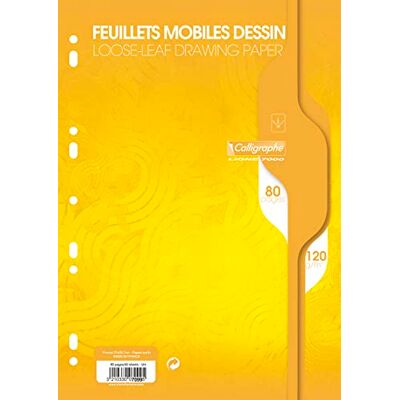 Calligraphe 7099C Packung mit 80 Blatt Ringbucheinlagen DIN A4 21x29,7 cm, blanko, 120g, 9-fach gelocht, zur Ablage im Ordner / Ringbuch, Weiß, 1 Pack Calligraphe 7099C Packung mit 80 Blatt Ringbucheinlagen DIN A4 21x29,7 cm, blanko, 120g, 9-fach gelocht, zur Ablage im Ordner / Ringbuch, Weiß, 1 Pack
