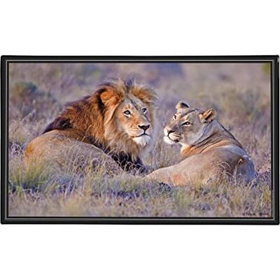 Viquel Dekorative Schreibtischunterlage Löwe – Schutz für den Schreibtisch für Kinder oder Erwachsene – 59,5 x 36,2 cm – Schwarz Viquel Dekorative Schreibtischunterlage Löwe – Schutz für den Schreibtisch für Kinder oder Erwachsene – 59,5 x 36,2 cm – Schwarz