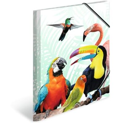 Herma Sammelmappe A3 Papagei, Kinder Eckspanner-Mappe aus Kunststoff mit Tier Motiv, Gummizug, Innenklappen und Innendruck für Jungen und Mädchen Herma Sammelmappe A3 Papagei, Kinder Eckspanner-Mappe aus Kunststoff mit Tier Motiv, Gummizug, Innenklappen und Innendruck für Jungen und Mädchen