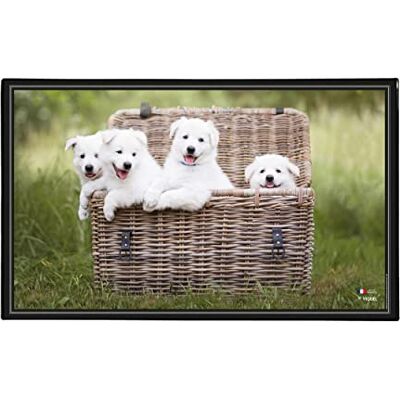 Viquel Schreibtischunterlage Motiv Hund Schreibtischunterlage Schreibtischunterlage Welpen Viquel Schreibtischunterlage Motiv Hund Schreibtischunterlage Schreibtischunterlage Welpen