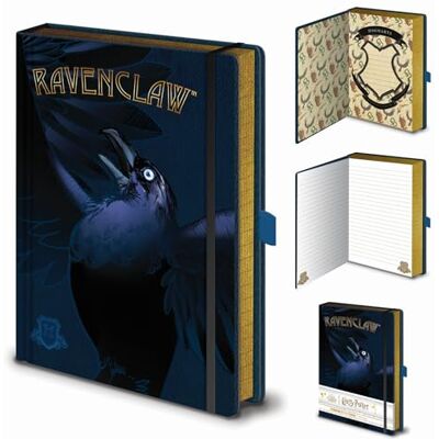 Pyramid Toys & Gamers Harry Potter Aufwendige Ravenclaw A5 Notizbuch Offizielles Lizenzprodukt Pyramid Toys & Gamers Harry Potter Aufwendige Ravenclaw A5 Notizbuch Offizielles Lizenzprodukt