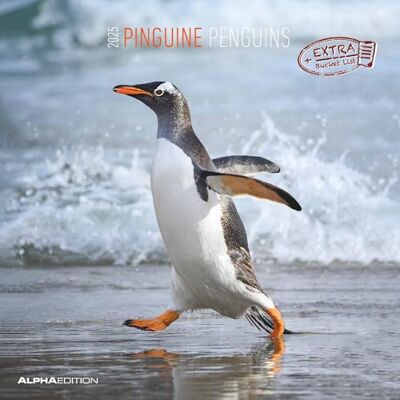 Alpha Pinguine 2025 Broschürenkalender, 30x30cm, Wandkalender mit Platz für Notizen und Termine, Motive von süßen Pinguinen, Monatsübersicht und Ferientermine DE/AT/CH Alpha Pinguine 2025 Broschürenkalender, 30x30cm, Wandkalender mit Platz für Notizen und Termine, Motive von süßen Pinguinen, Monatsübersicht und Ferientermine DE/AT/CH