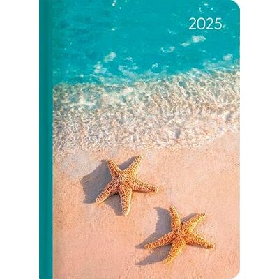 Alpha Ladytimer Beach 2025 Taschenkalender, 10,7x15,2cm, Kalender mit 192 Seiten, Notizmöglichkeiten nach jedem Tag, Zeitplaner, Mondphasen und internationales Kalendarium Alpha Ladytimer Beach 2025 Taschenkalender, 10,7x15,2cm, Kalender mit 192 Seiten, Notizmöglichkeiten nach jedem Tag, Zeitplaner, Mondphasen und internationales Kalendarium