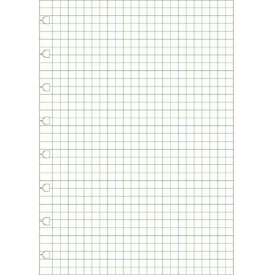 Filofax Nachfüllung für Notebook A5 kariertes Notizpapier von Filofax Nachfüllung für Notebook A5 kariertes Notizpapier von