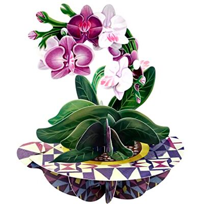 Santoro Pirouette 3D Pop Up Grußkarte Orchidee Geburtstagsgeschenk für sie, Mutter, Tochter, Ehefrau, Freundin Jahrestag, Thinking of You, Dankeskarte Blumenkarte zum Muttertag Santoro Pirouette 3D Pop Up Grußkarte Orchidee Geburtstagsgeschenk für sie, Mutter, Tochter, Ehefrau, Freundin Jahrestag, Thinking of You, Dankeskarte Blumenkarte zum Muttertag