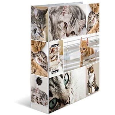 Herma Ordner A4 Katzen Set, 10 Stück, 7 cm breit, Kinder Ringordner mit Tier Motiv, bunter Aktenordner mit Innendruck für Jungen und Mädchen Herma Ordner A4 Katzen Set, 10 Stück, 7 cm breit, Kinder Ringordner mit Tier Motiv, bunter Aktenordner mit Innendruck für Jungen und Mädchen
