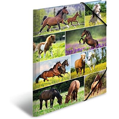 Herma Sammelmappen A3 Pferde Set, 3 Stück, Kinder Eckspanner-Mappen aus Pappe mit Tier Motiv, Gummizug, Innenklappen und Innendruck für Jungen und Mädchen Herma Sammelmappen A3 Pferde Set, 3 Stück, Kinder Eckspanner-Mappen aus Pappe mit Tier Motiv, Gummizug, Innenklappen und Innendruck für Jungen und Mädchen