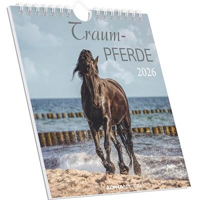 Alpha Traumpferde Kalender 2026 – Postkartenkalender 16×17 cm mit Pferdemotiven, zum Aufstellen oder Aufhängen, dekorativer Tischkalender & Geschenkidee für Pferdeliebhaber Alpha Traumpferde Kalender 2026 – Postkartenkalender 16×17 cm mit Pferdemotiven, zum Aufstellen oder Aufhängen, dekorativer Tischkalender & Geschenkidee für Pferdeliebhaber