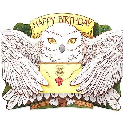 American Greetings Pop Up Harry Potter Geburtstagskarte (gefüllt mit Magie!) American Greetings Pop Up Harry Potter Geburtstagskarte (gefüllt mit Magie!)