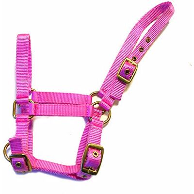 Rhinegold Halfter für Fohlen, Nylon, Pink Rhinegold Halfter für Fohlen, Nylon, Pink
