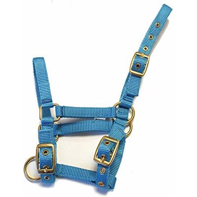 Rhinegold Halfter für Fohlen, Nylon, Türkis Rhinegold Halfter für Fohlen, Nylon, Türkis